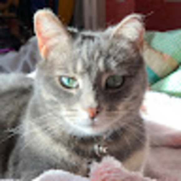 Meet your Posher, Emersen - Picture 1 of 1